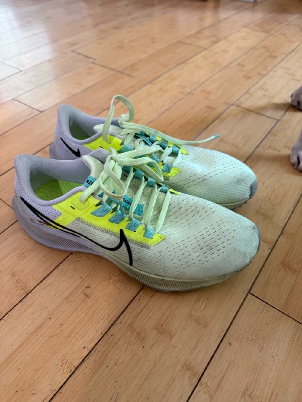 Nike Pegasus Sneakers in Mint Green & Neon Yellow